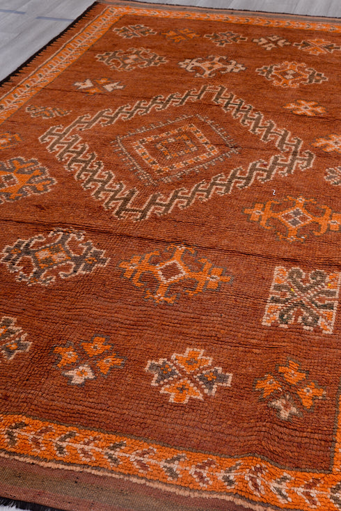 Vintage Moroccan Area Rug (6' x 11')